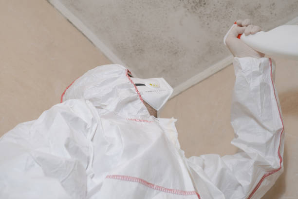 Best Home Mold Removal  in Montello, WI