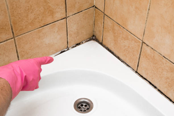 Best Emergency Mold Removal  in Montello, WI